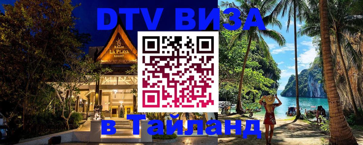 Оформление DTV визы под ключ: стоимость и тарифы, только загранпаспорт - 